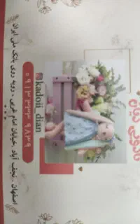 فروشنده خانم