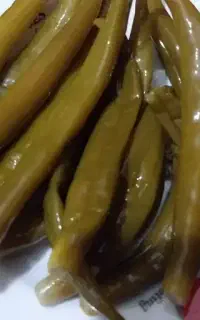 ترشی فلفل تند درجه ۱