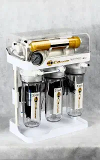 جذب منشی خانم