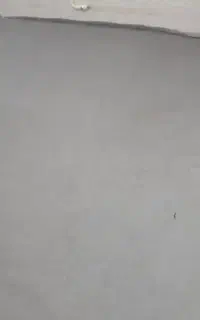 موکت