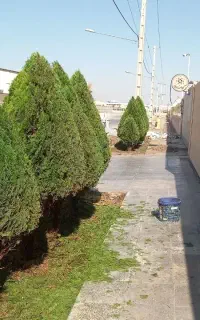 باغبانی و کشاورزی پایدار،هرس درختان و فرم دهی درخت