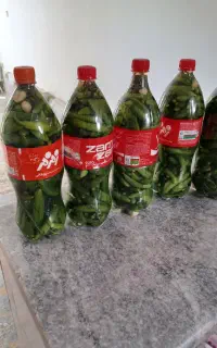 خوراکی