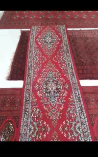 کناره قرمزدرحدنو