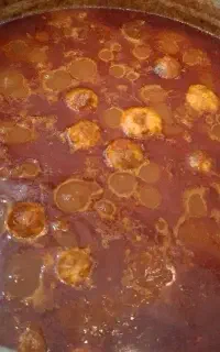 کترینگ موژان جهت طبخ غذاهای ایرانی و فرهنگی