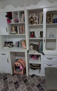 کمد کتابخانه