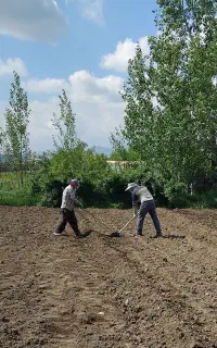کارگرباغ،باغچه
