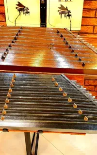 santor سنتور   حرفه ای   سیم المانی