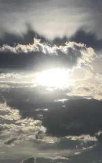 شماره رند 0905 1234 ***