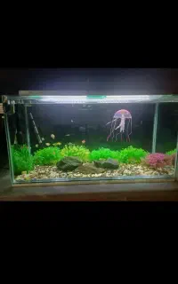 فروش اکواریوم