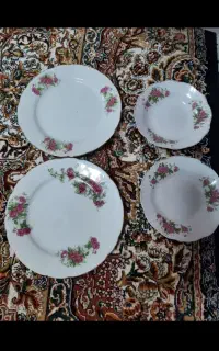 بشقاب گل سرخ و سوپ خوری