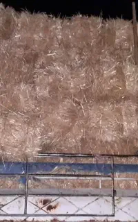 فروش کاه