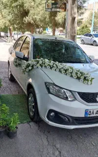 گل سفید(دیزاین زیبا)