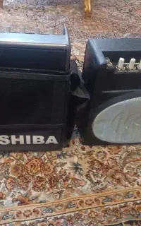 اکو همراه 6 اینچ توشیبا واکوهمراه 8 اینچ پارسا صوت