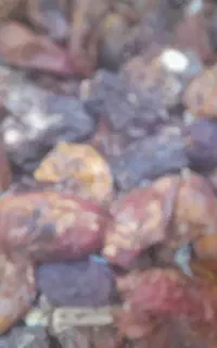 خرما کده خوراک دام