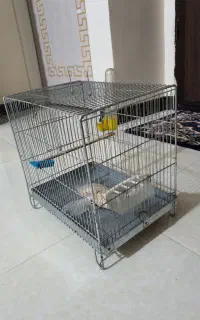 قفس سایز ۲سهره با وسایل