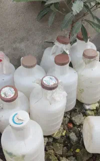 دبه خیارشور سالم
