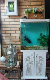 اکواریوم