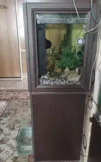 آکواریم و ماهی