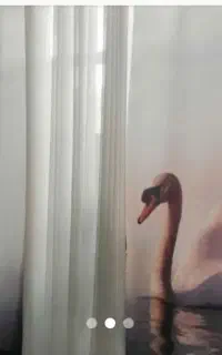 پرده