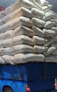 کاه گندم