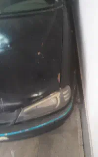 پارس پرشیامدل ۸۱
