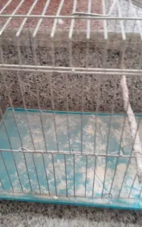 قفس پرنده