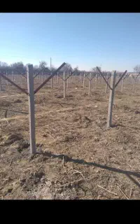 باغبانی و سرایداری