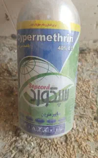 باغ داری بنایی حرس درست