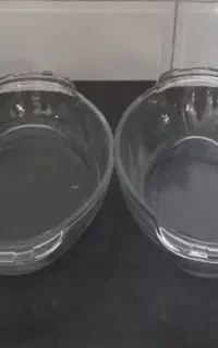 مرغ خوری بیضی بزرگ