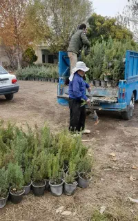 حمل بار اثاث منزل نخاله با وانت پیکان ونیسان کمپرس
