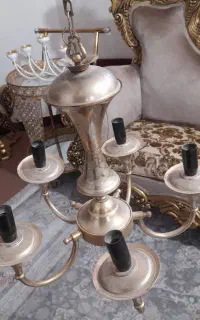 لوسترپنج شاخه