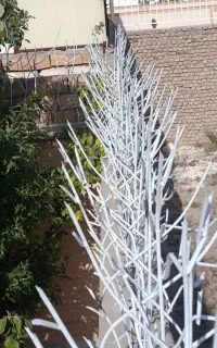 حفاظ دیواری در گناباد