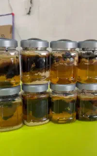 کنار گذاشتن انواع مواد مخدر