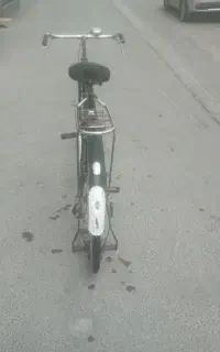 دو چرخه چینی