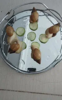 حلزون دوست کوچلو پوست