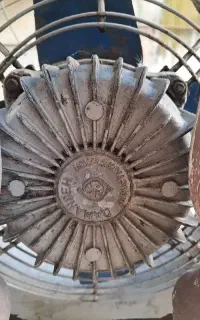 فن سایز بزرگ اصلی ۷ سال تو حیاط کار نزده