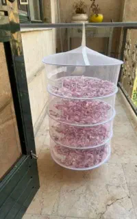 توری میوه خشک کن و سبزیجات