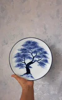 بشقاب چینی