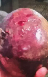 چغندر لبو و قندی گرد و آشی