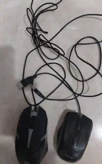 دوعدد موس سالم فقط ۵۰۰ تومن