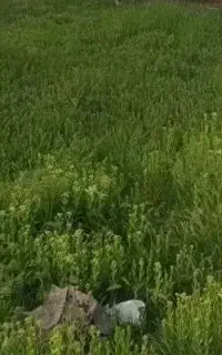 کارگرسرچاه و دنبال کار دائم هستم