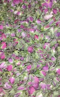 فروش غنچه گل محمدی و پرموسیر