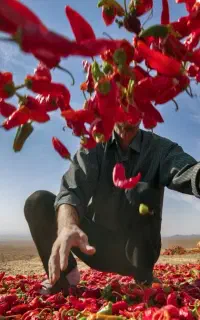 نگهداری از سالمند اگهی روبدقت بخوانید
