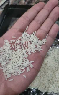 برنج هاشمی پخت عالی درجه یک