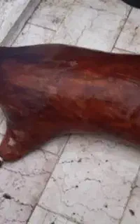 مشک پوستی عشایری