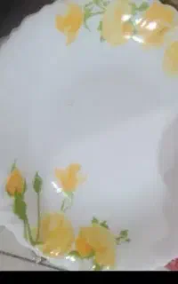 ظروف آرکوپال
