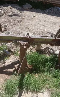 گاو اهن رومانی