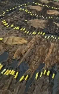 مرکزخریدموی طبیعی بصورت عمده وتکی با بالاترین قیمت