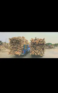 خرید انواع چوب تر و خشک وضایعات