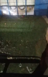 چمن مصنوعی برای پیکان وانت